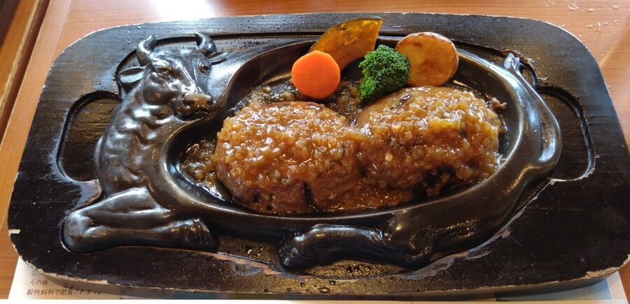 げんこつハンバーグ260428修正(DSC_3179).JPG