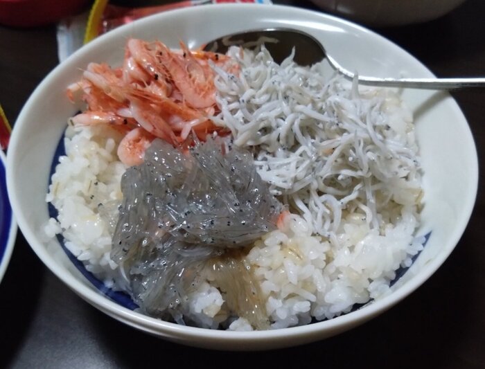 どんぶり260428修正(DSC_3195).JPG